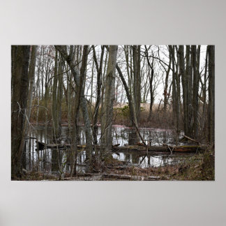 Flooded Trees Poster