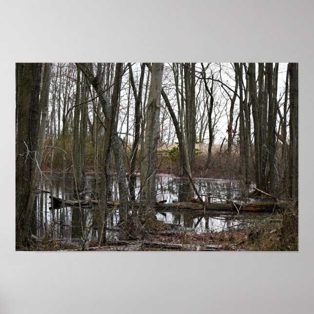 Flooded Trees Poster (Front)