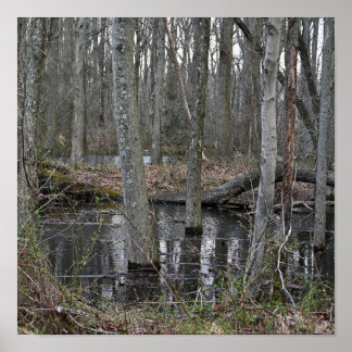 Flooded Trees Poster