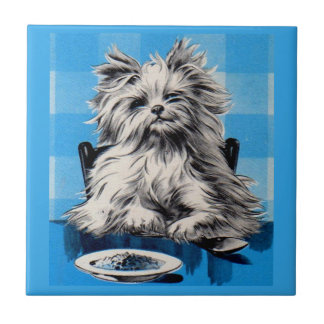 floofy dog eating at the table tile