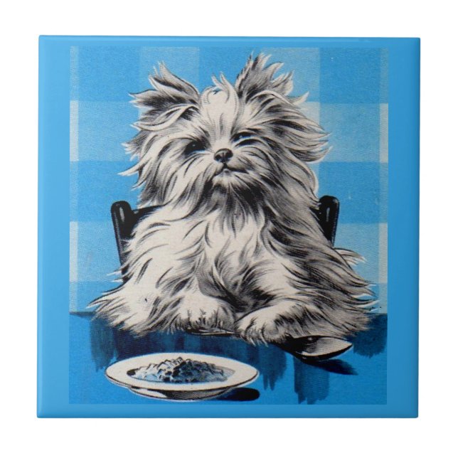 floofy dog eating at the table tile (Front)