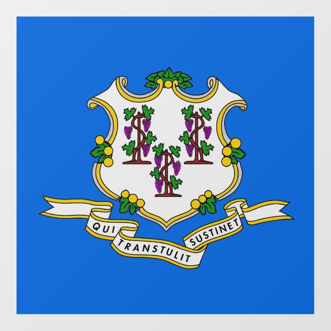 Floor Decal with flag of Connecticut, U.S. (Front)