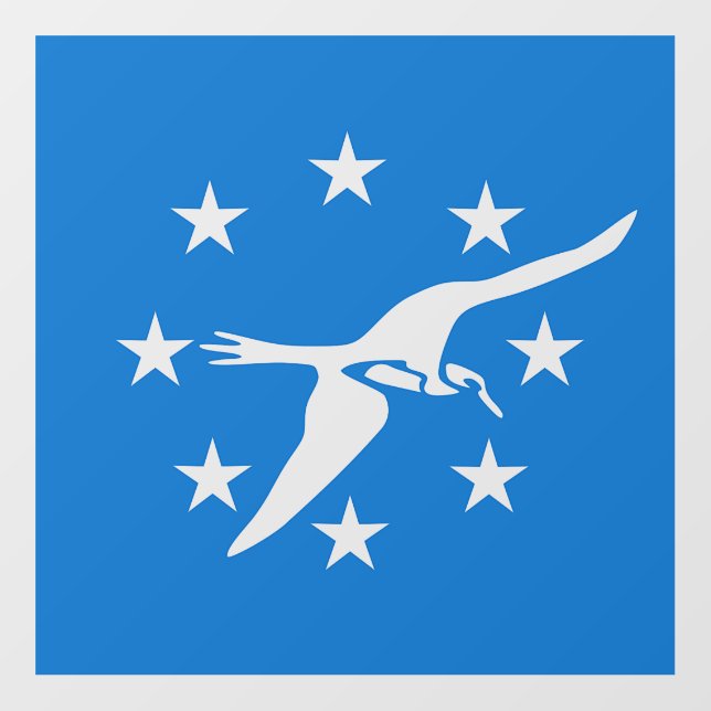 Floor Decal with flag of Corpus Christi, U.S. (Front)