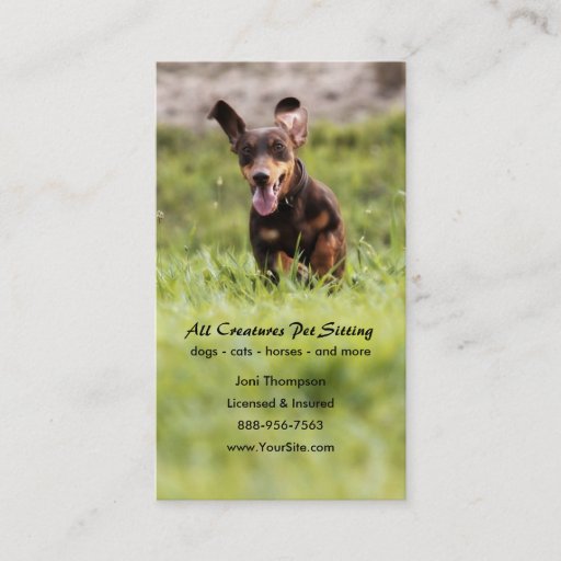 Customizable Floppy Dachshund Business Card
