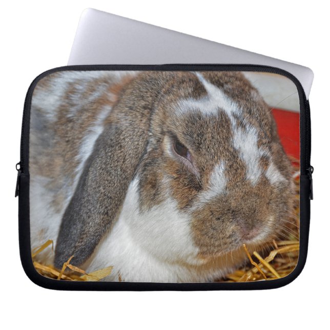 Floppy-eared Bunny Laptop Sleeve (Front)