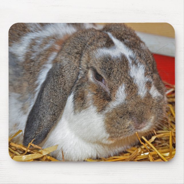 Floppy Eared Bunny Mouse Pad (Front)
