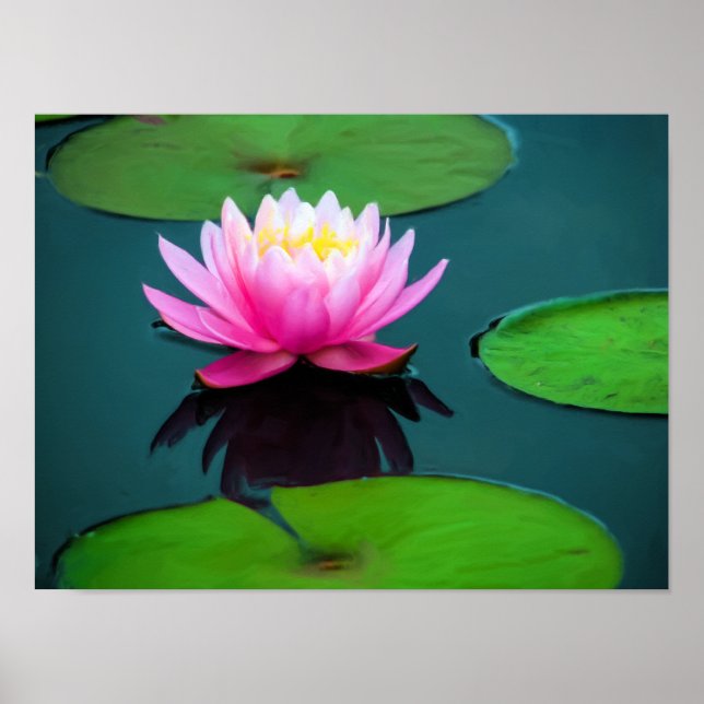 Flor 06 Ninféia Rosa Poster (Front)