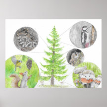 Flora and Fauna