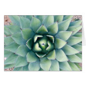 Flora at City of Rocks in Deming, NM (Front Horizontal)