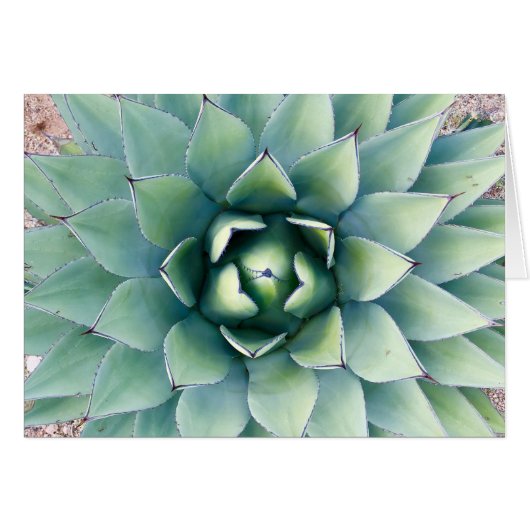 Flora at City of Rocks in Deming, NM (Front Horizontal)