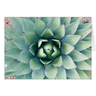 Flora at City of Rocks in Deming, NM Cards