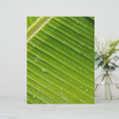 Flora Dominica 1 (Standing Front)