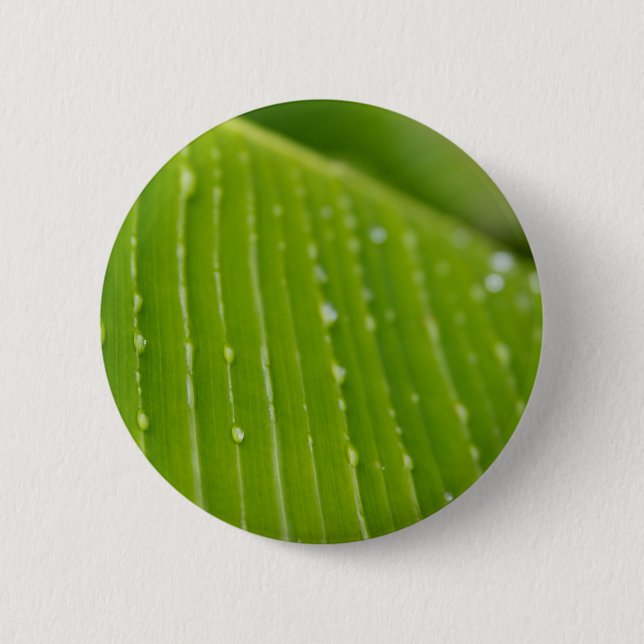 Flora Dominica 2 Button (Front)