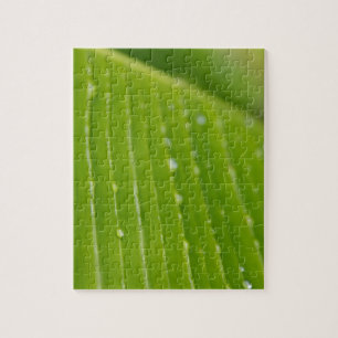 Flora Dominica 2 Jigsaw Puzzle