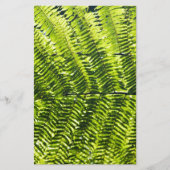 Flora Dominica 5 (Front)