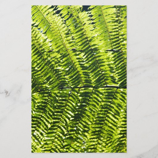 Flora Dominica 5 (Front)