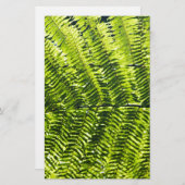 Flora Dominica 5 (Front/Back)