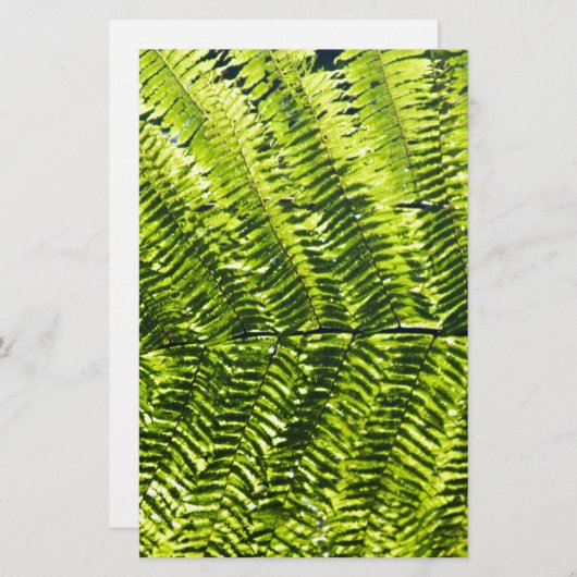 Flora Dominica 5 (Front/Back)