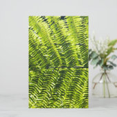 Flora Dominica 5 (Standing Front)