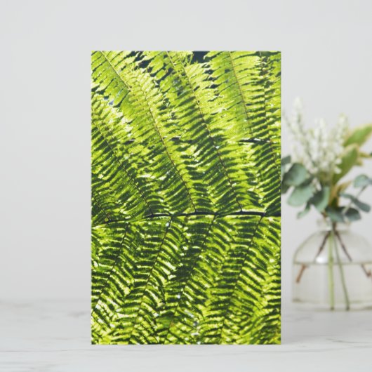 Flora Dominica 5 (Standing Front)