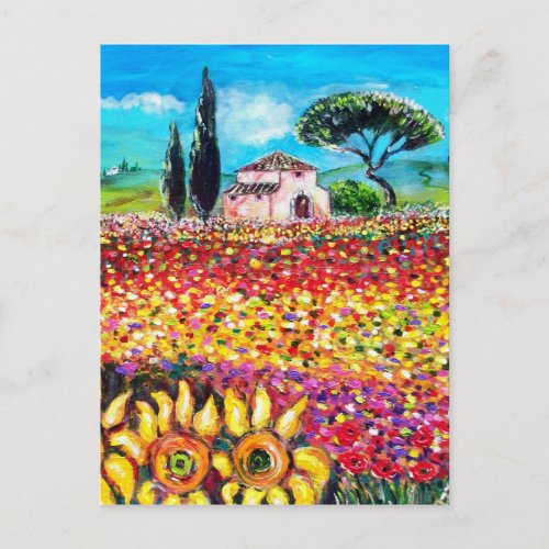 FLORA IN TUSCANY Fields Poppies and Sunflowers Postcard