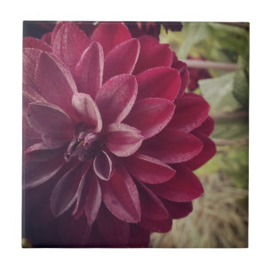 Flora Tile- Dahlia Ceramic Tile