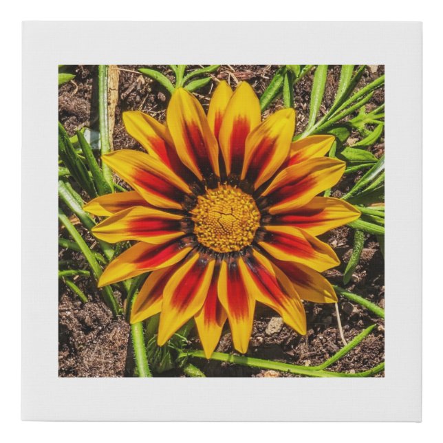 Floral 1 faux canvas print (Front)