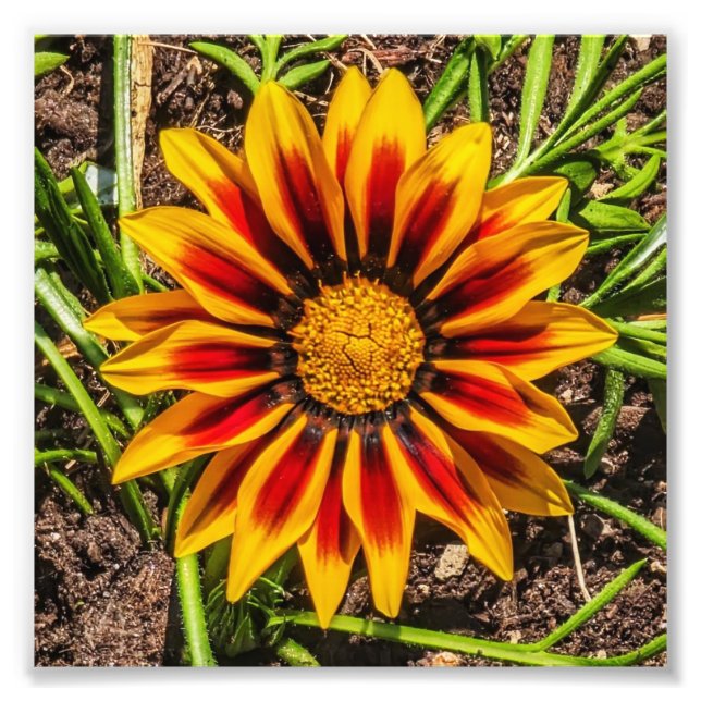 Floral 1 photo print (Front)