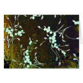 Floral 3 (Front Horizontal)