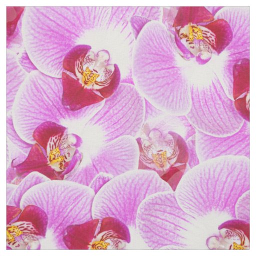 Floral Abstract BG Radiant Orchid Nature Photo Fabric