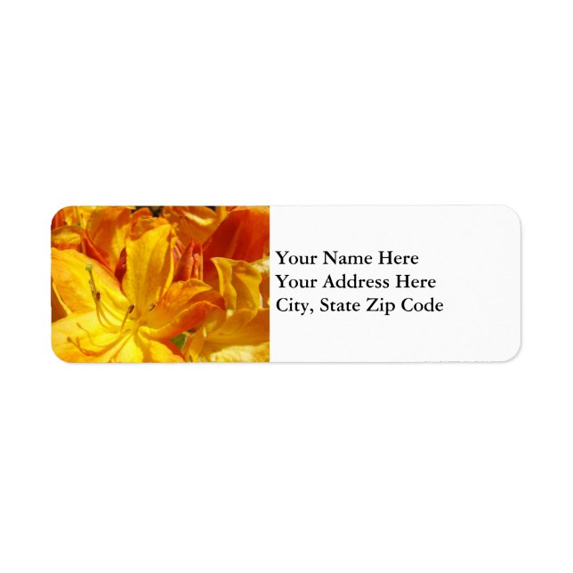Floral Address Labels Orange Rhododendron Flowers (Front)