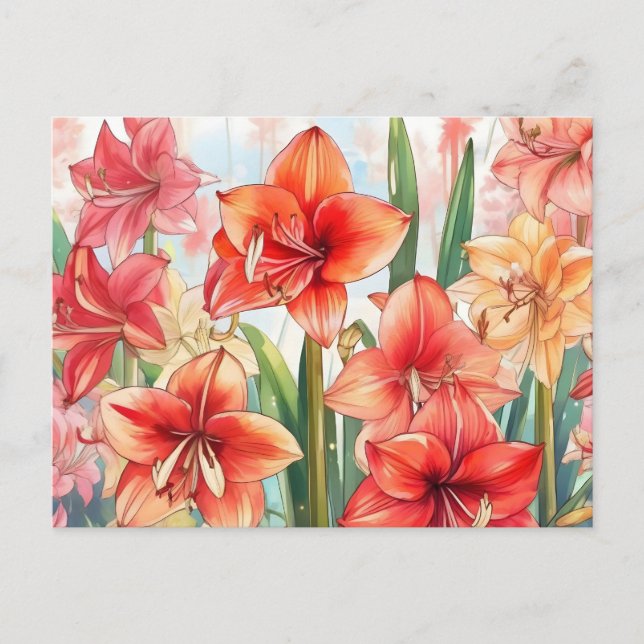 Floral Amaryllis Garden Postcard (Front)
