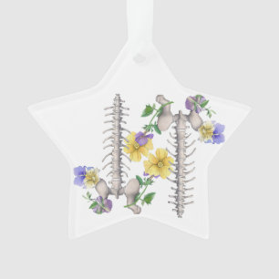 Floral Anatomy - Vertebrae, Hip Bone Ornament