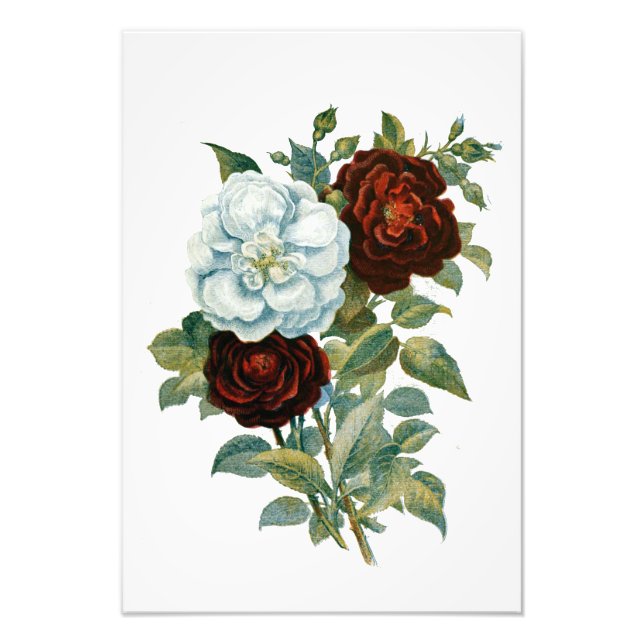 Floral and Elegant Vintage Bouquet Photo Print (Front)