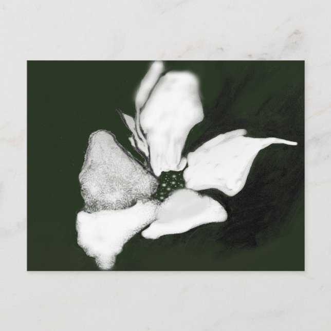 FLORAL ART CARD (Front)