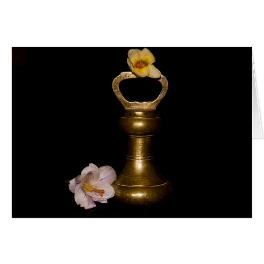 Floral Attraction (Front Horizontal)