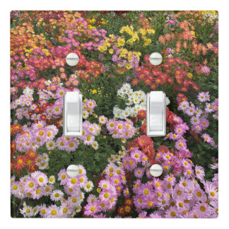 Floral Autumn Flowers Light Switch Cover