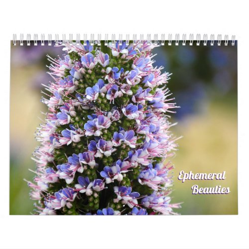 Floral Beauties from my Garden Collection Calendar