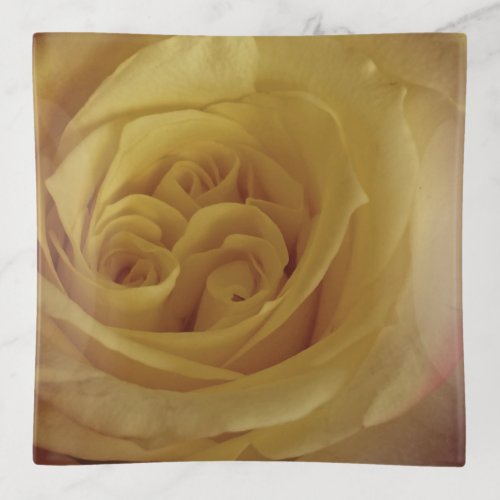 Floral Beautiful Yellow Rose Photo Swirled Flower Trinket Tray