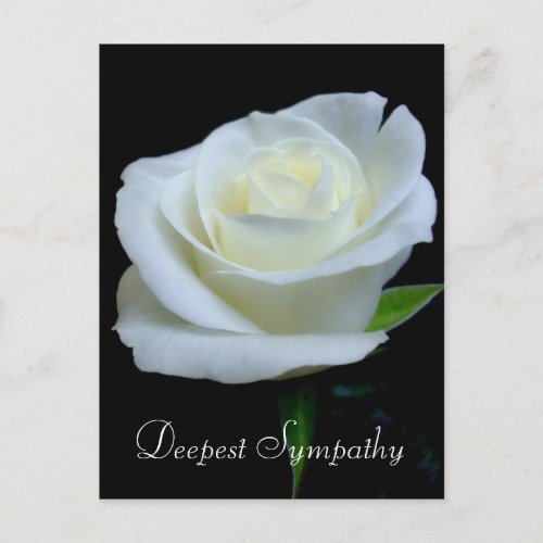 Floral Black and White Rose Deepest Sympathy Postcard