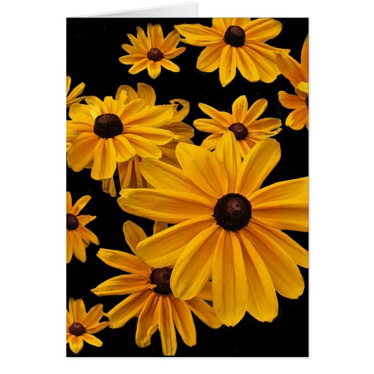 Floral Black Eyed Susan Flowers Blank Card (Front)