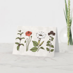 Floral Blank Thank You Greeting Card
