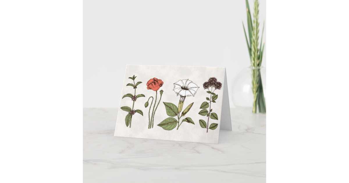 Floral Blank Thank You Greeting Card | Zazzle