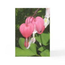 Floral Bleeding Heart - Portrait Greeting Card