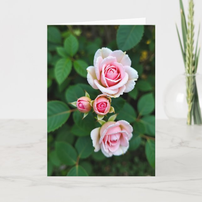 Floral Bloom Pink Blossom Card (Front)