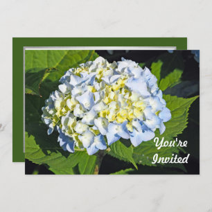 Floral Blue and Yellow Hydrangea Photo Birthday Invitation