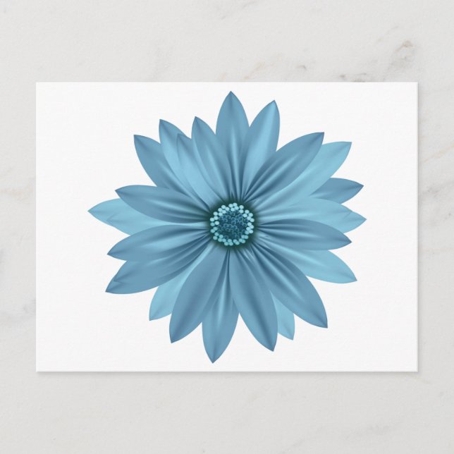 Floral Blue Daisy Flower  Daisies Postcard (Front)