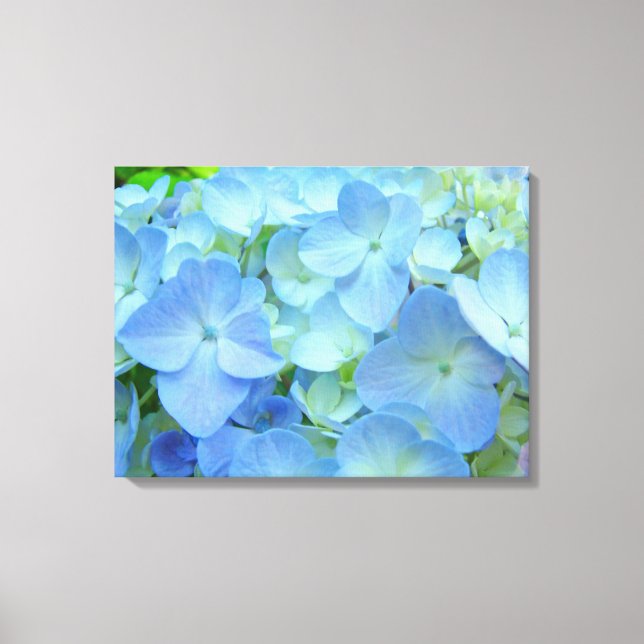 Floral Blue Hydrangea Flowers art prints (Front)