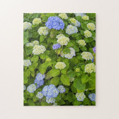 Floral Blue Hydrangea Nature Photo Jigsaw Puzzle