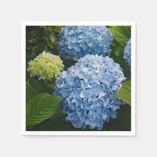 Floral Blue Hydrangea Photo Napkins (Front)